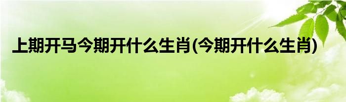 上期开马今期开什么生肖(今期开什么生肖)