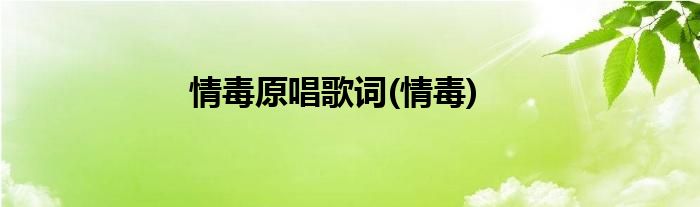 情毒原唱歌词(情毒)