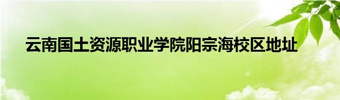 云南国土资源职业学院阳宗海校区地址