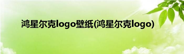 鸿星尔克logo壁纸(鸿星尔克logo)