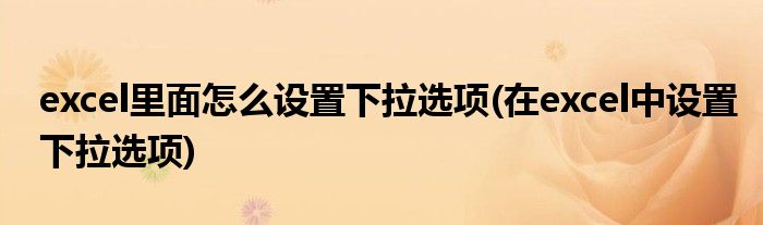 excel里面怎么设置下拉选项(在excel中设置下拉选项)