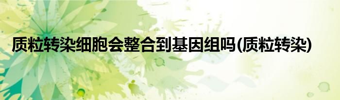 质粒转染细胞会整合到基因组吗(质粒转染)