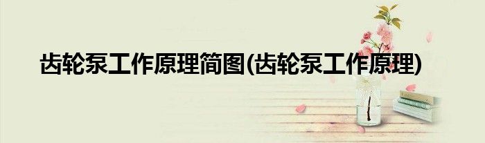 齿轮泵工作原理简图(齿轮泵工作原理)