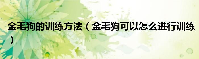 金毛狗的训练方法（金毛狗可以怎么进行训练）