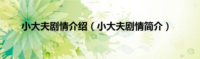 小大夫剧情介绍（小大夫剧情简介）