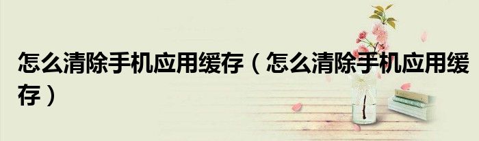 怎么清除手机应用缓存（怎么清除手机应用缓存）