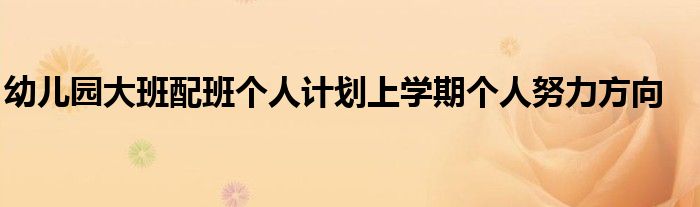 幼儿园大班配班个人计划上学期个人努力方向