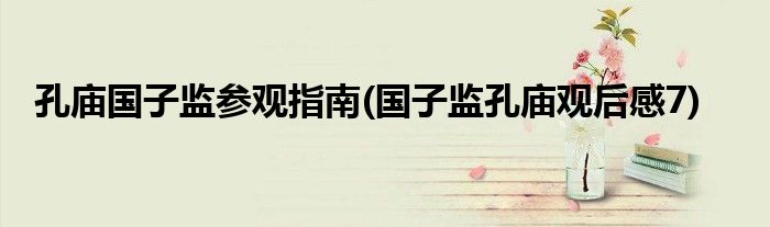 孔庙国子监参观指南(国子监孔庙观后感7)