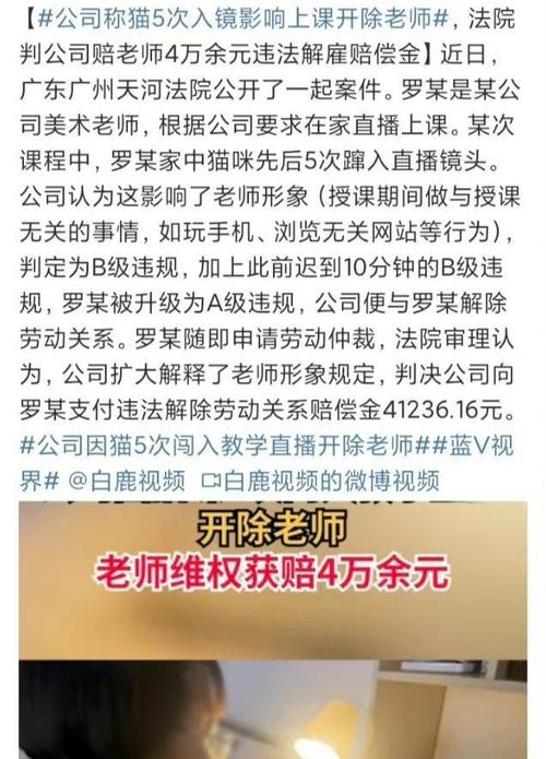 因教学直播时家猫5次闯进画面，公司将老师开除，法院判了