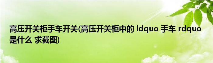高压开关柜手车开关(高压开关柜中的 ldquo 手车 rdquo 是什么 求截图)