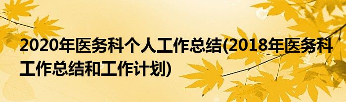 2020年医务科个人工作总结(2018年医务科工作总结和工作计划)