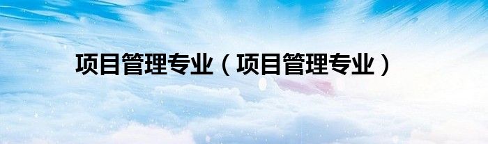 项目管理专业（项目管理专业）