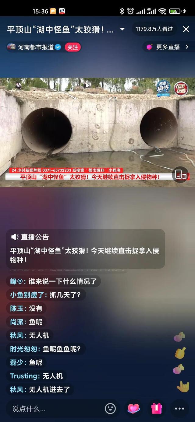 平顶山汝州抽水抓怪鱼，到底值不值