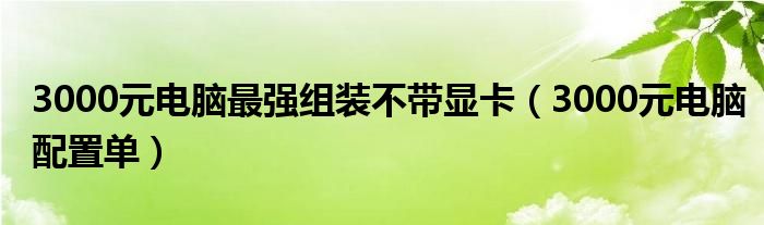3000元电脑最强组装不带显卡（3000元电脑配置单）