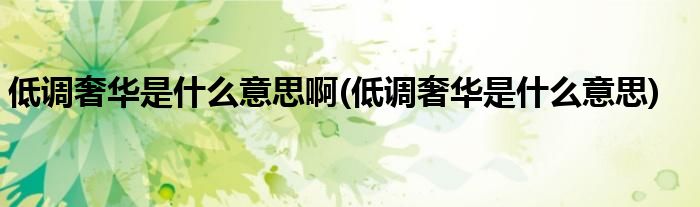低调奢华是什么意思啊(低调奢华是什么意思)