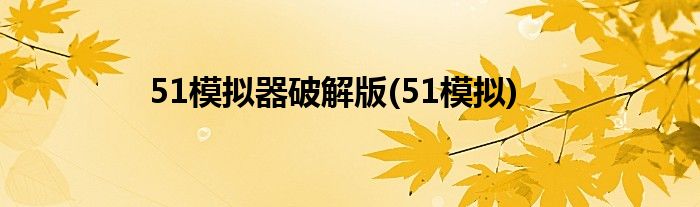 51模拟器破解版(51模拟)