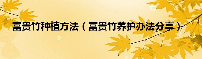 富贵竹种植方法（富贵竹养护办法分享）