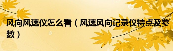 风向风速仪怎么看（风速风向记录仪特点及参数）
