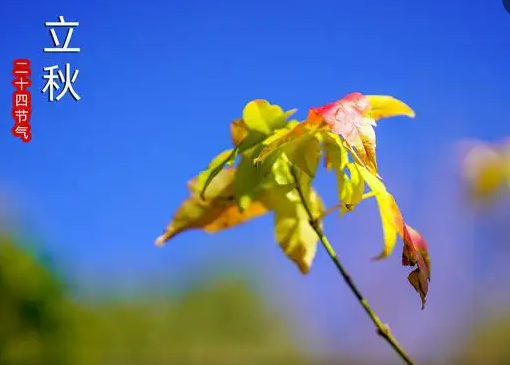 明日立秋！哈尔滨还会过一个闷热的周末吗？