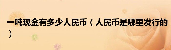 一吨现金有多少人民币（人民币是哪里发行的）