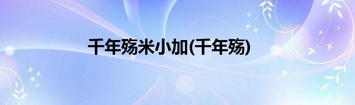 千年殇米小加(千年殇)
