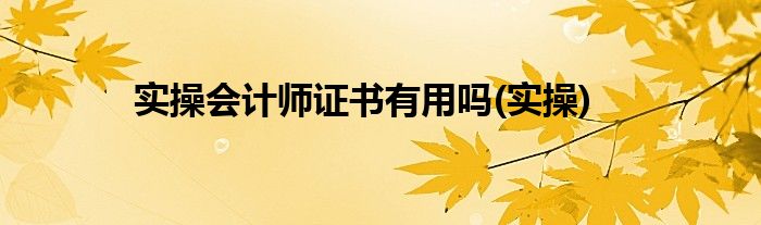 实操会计师证书有用吗(实操)
