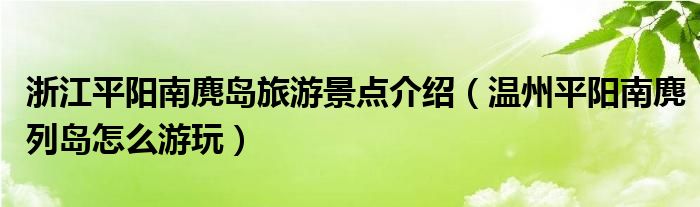 浙江平阳南麂岛旅游景点介绍（温州平阳南麂列岛怎么游玩）