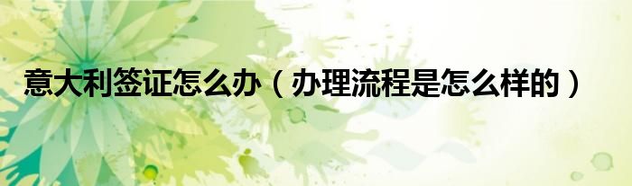 意大利签证怎么办（办理流程是怎么样的）