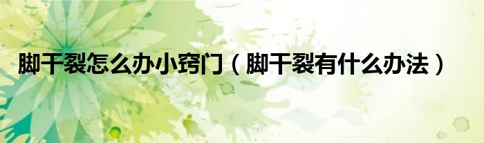 脚干裂怎么办小窍门（脚干裂有什么办法）
