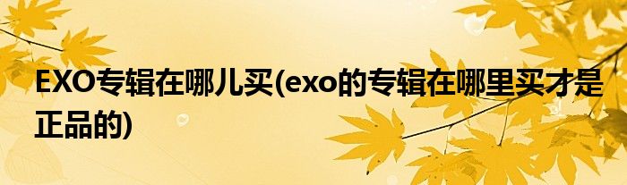 EXO专辑在哪儿买(exo的专辑在哪里买才是的)