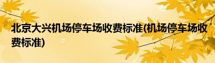 北京大兴机场停车场收费标准(机场停车场收费标准)