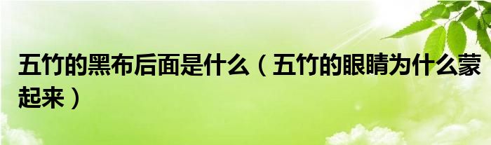 五竹的黑布后面是什么（五竹的眼睛为什么蒙起来）