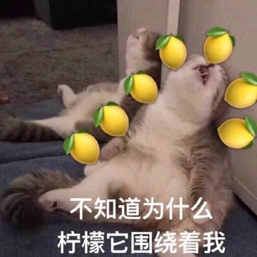 中国研发超级高铁，时速可达每小时1000公里，两年内可能试运行！
