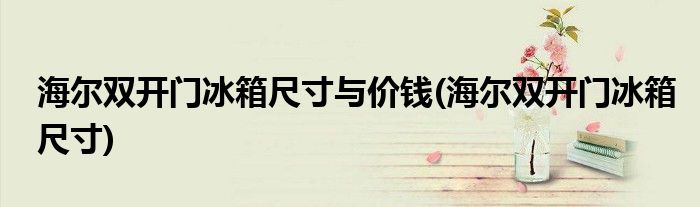 海尔双开门冰箱尺寸与价钱(海尔双开门冰箱尺寸)