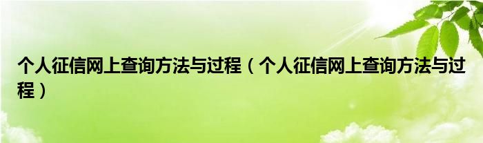 个人征信网上查询方法与过程（个人征信网上查询方法与过程）