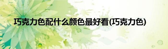 巧克力色配什么颜色更好看(巧克力色)