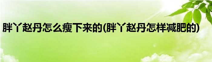 胖丫赵丹怎么瘦下来的(胖丫赵丹怎样减肥的)