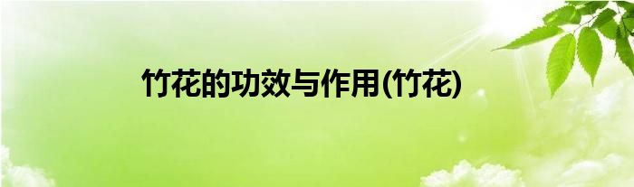 竹花的功效与作用(竹花)