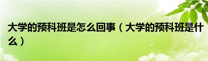 大学的预科班是怎么回事（大学的预科班是什么）