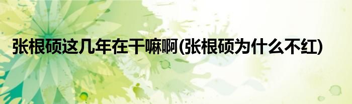 张根硕这几年在干嘛啊(张根硕为什么不红)