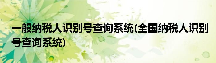 一般纳税人识别号查询系统(全国纳税人识别号查询系统)