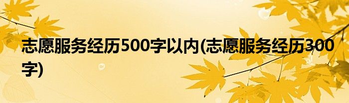 志愿服务经历500字以内(志愿服务经历300字)