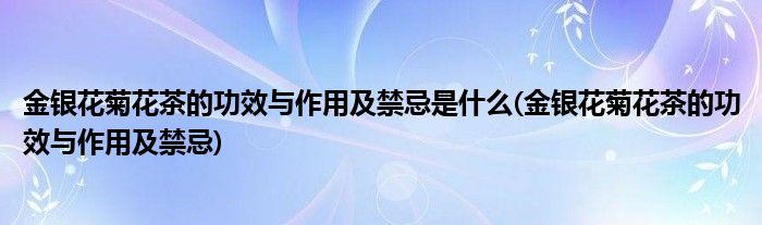 金银花菊花茶的功效与作用及禁忌是什么(金银花菊花茶的功效与作用及禁忌)