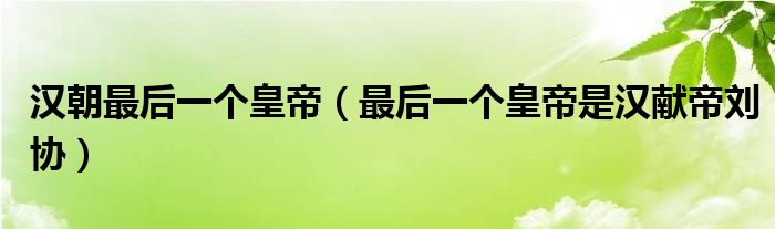 汉朝最后一个皇帝（最后一个皇帝是汉献帝刘协）