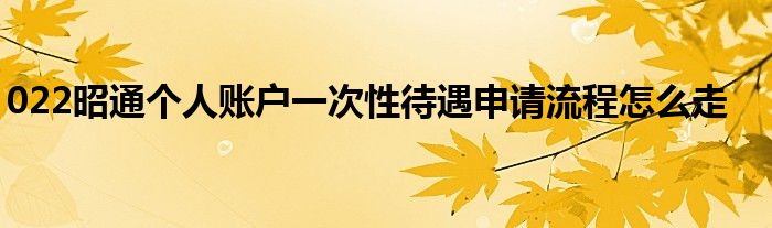 022昭通个人账户一次性待遇申请流程怎么走