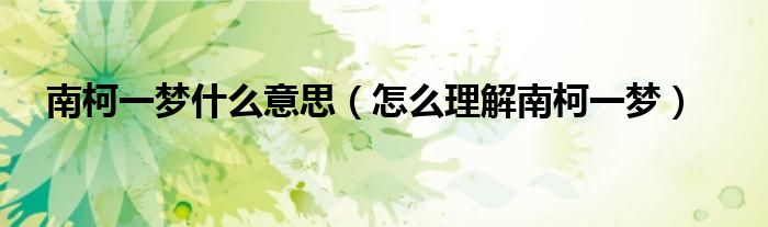 南柯一梦什么意思（怎么理解南柯一梦）