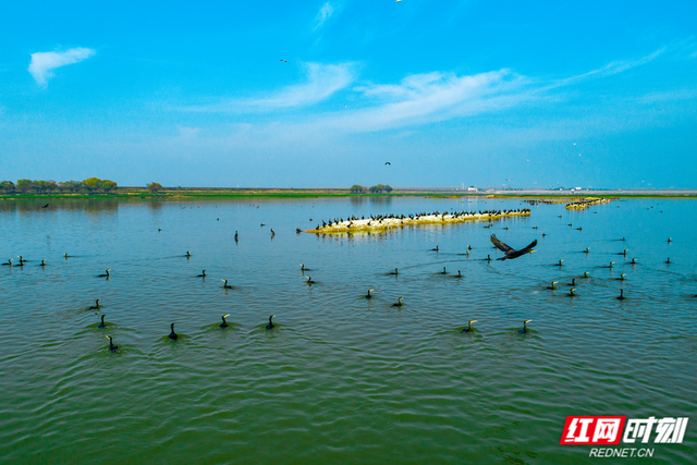重识母亲湖系列丨洞庭湖是中国最重要的淡水湖泊
