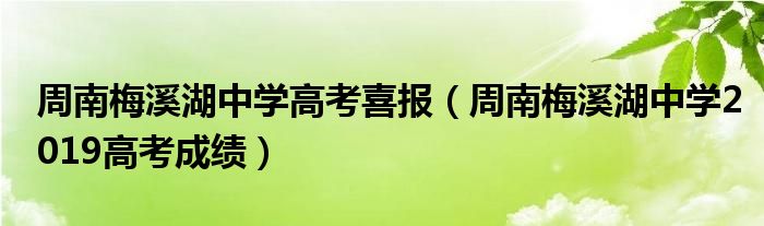 周南梅溪湖中学高考喜报（周南梅溪湖中学2019高考成绩）