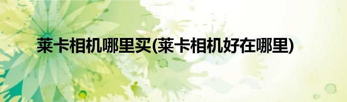 莱卡相机哪里买(莱卡相机好在哪里)