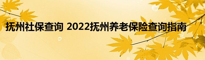 抚州社保查询 2022抚州养老保险查询指南